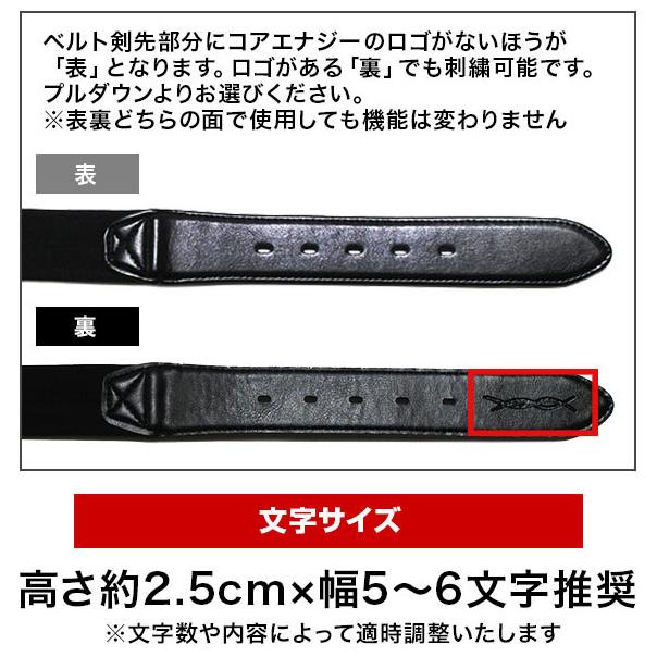 コアエナジー 文字刺繍無料 交換無料 野球 ベルト 大人 黒 紺 青 赤 緑