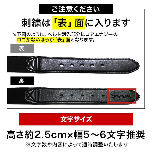 コアエナジー 文字刺繍無料 交換無料 野球 ベルト 大人 黒 紺 青 赤 緑