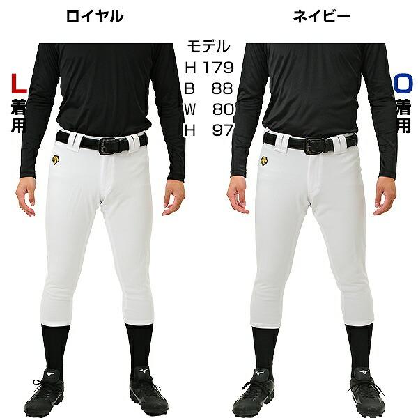 DESCENTE 交換往復送料無料 野球 ユニフォームパンツ デサント