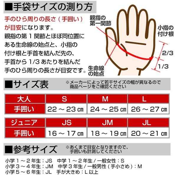 ローリングス ポンプ式 イージークリーナーリキッド 内容量300ml 汚れ落とし EAOL10S04 野球 バッティンググローブお手入れ｜bbtown｜04