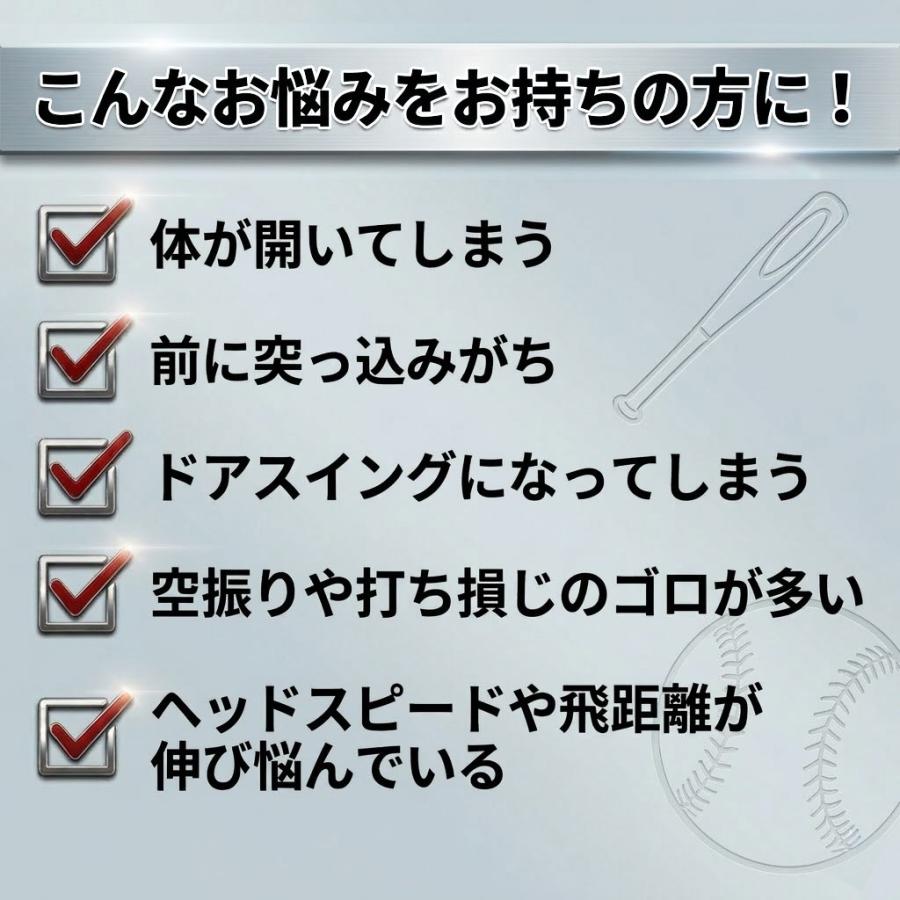 レビューで6ヶ月保証 野球 インフィニティバット・ミニ 木製バット
