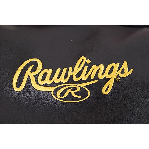 Rawlings 軟式野球バット2本　ハードケースセット バットケース(2本入) | バッグ | PRODUCTS | ローリングス