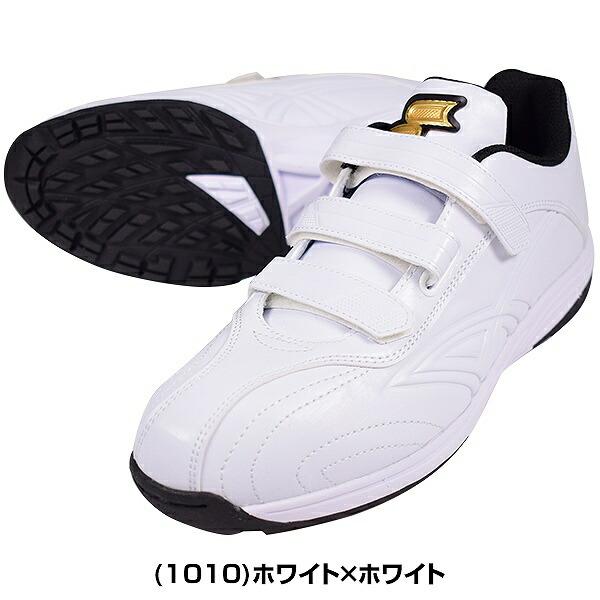 proedge 交換無料 野球 トレーニングシューズ SSK プロエッジ TR-W 白