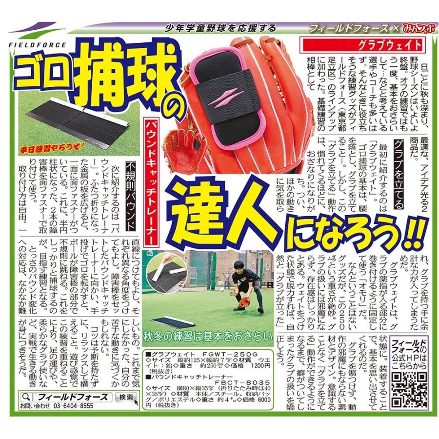 適切な価格 野球 練習 グラブウェイト グラブに取り付ける重り おもり 守備練習 グローブ Fgwt 250g フィールドフォース トレーニング Cisama Sc Gov Br