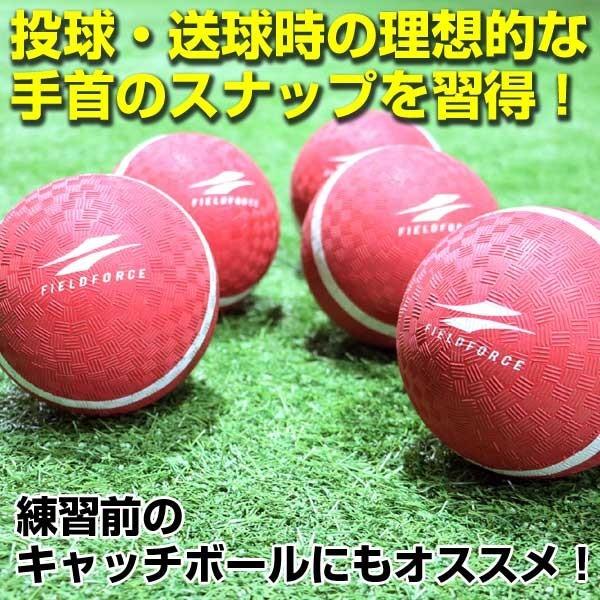 2個セット 野球 投球 送球 スローイングマスター ピッチング キャッチボール ケガ 怪我 リハビリ イップス Fpg 5 練習 トレーニング フィールドフォース 野球用品ベースボールタウン 通販 Paypayモール