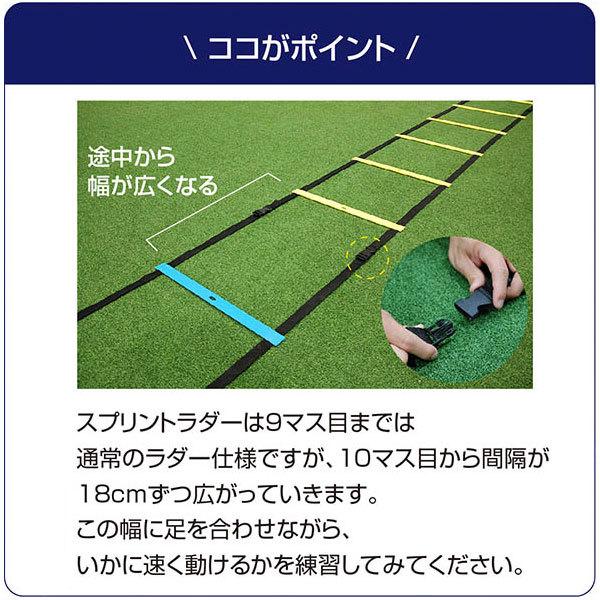 爆買い 野球 練習 スプリントラダー 8mトレーニングラダー 収納バッグ付き スピードラダー サッカー Fsl 800 フィールドフォース4 400円 Aynaelda Com
