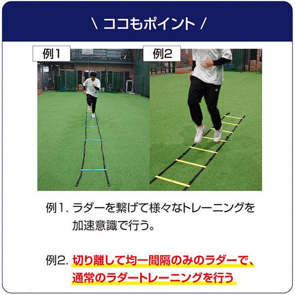 爆買い 野球 練習 スプリントラダー 8mトレーニングラダー 収納バッグ付き スピードラダー サッカー Fsl 800 フィールドフォース4 400円 Aynaelda Com