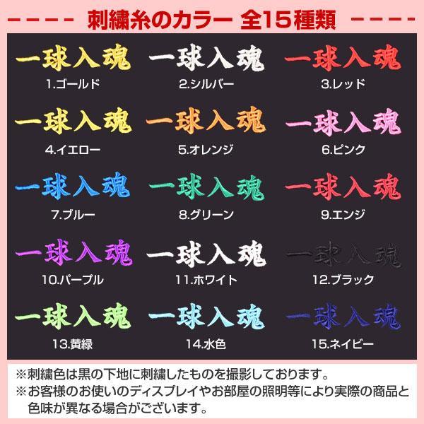 今だけ刺繍サービス 野球 リュック 大人 大容量 大型 ミズノプロ バックパック 約40L 1FJDD001 オリジナル カスタマイズ チーム名 名入れ バッグ刺繍有料可(B) | MIZUNO | 12