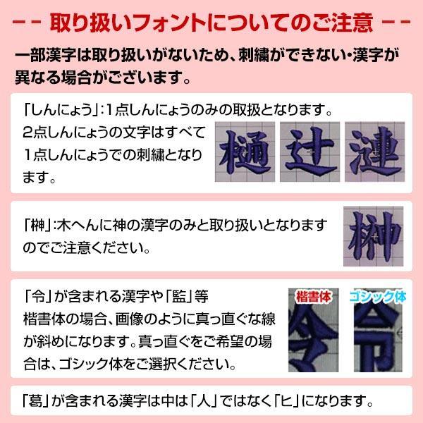 今だけ刺繍サービス 野球 リュック 大人 大容量 大型 ミズノプロ バックパック 約40L 1FJDD001 オリジナル カスタマイズ チーム名 名入れ バッグ刺繍有料可(B) | MIZUNO | 16