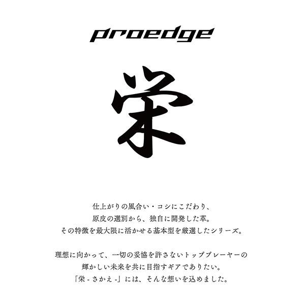 交換無料 野球 グローブ 硬式 大人 右投げ SSK プロエッジ 栄 外野手用 サイズ8L PEKK8748L 2024後期 高校野球 型付け可能(G)｜bbtown｜05