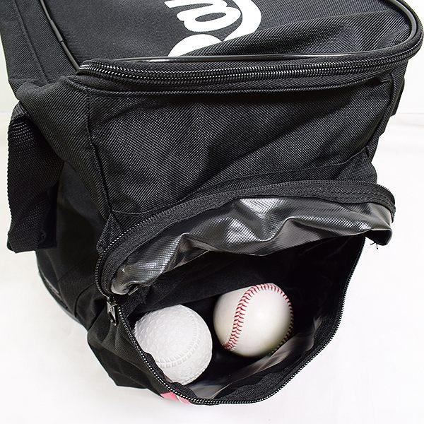Rawlings 直筆サイン入り野球ボール ケース付き Rawlings ボール ケース 野球 Rawlings 直筆サイン入り野球ボール