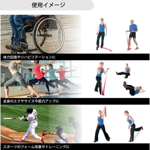 D＆M セラバンド ブリスターパック トレーニングラバー バンドタイプ サイズ 2m ブルー エキストラヘビー TBB-4 ディーエム トレーニング | D&M | 03