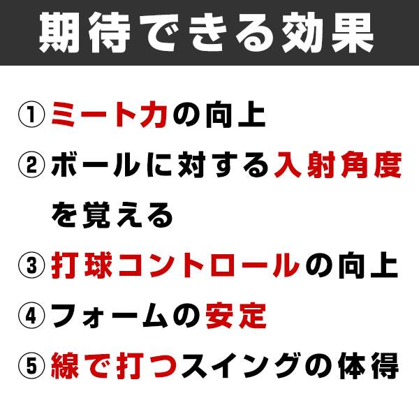 UCHIDA（ウチダ） 4大特典あり トレーニングバット 刀Swing 刀スイング