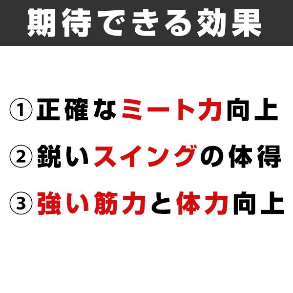 UCHIDA（ウチダ） 交換往復送料無料 トレーニングバット コアバット