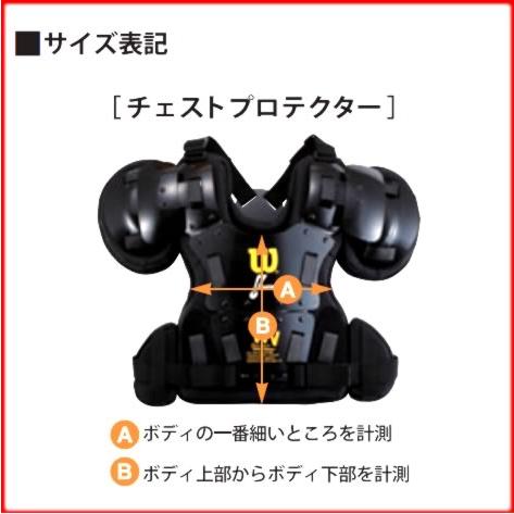 WILLSON（ウィルソン） ウイルソン Wilson 野球 硬式審判 チェスト