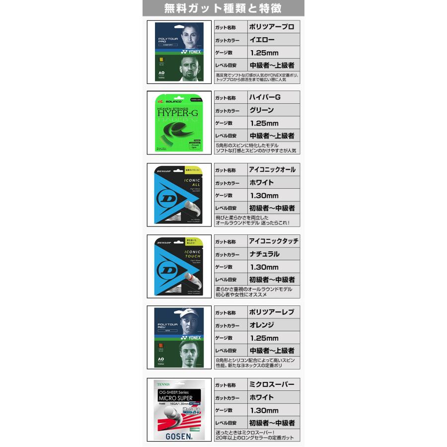 YONEX（ヨネックス） ガットも張り上げも無料 イーゾーン98 硬式テニス