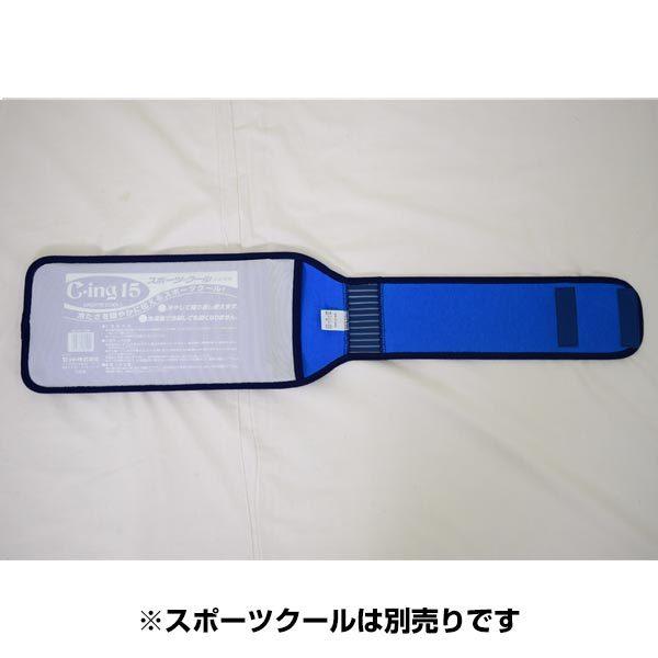 ていさん専用 楽天市場】☆ 42616 デイトナ Daytona プレミアムゾーン PREMIUM
