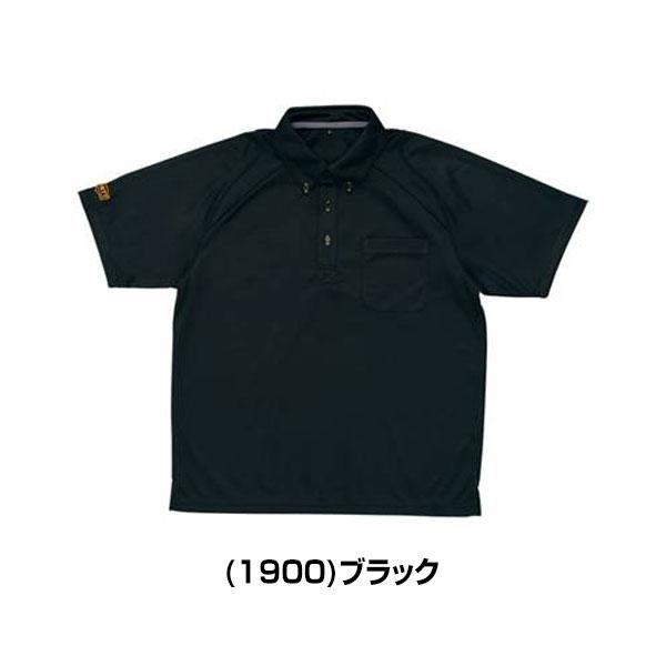 ホロマートセミコンプセット 透明鉢《 NEgamieru 》箱80サイズ Cセット | 花森家-2号店-