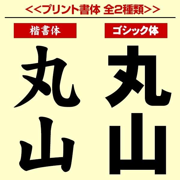 ゼット（ZETT） 名前入り 選べる2タイプ 名入れ 野球 少年用