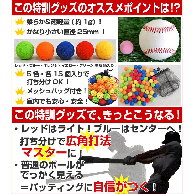 ミニより小さいナノサイズ バッティング練習用ボール 専用収納バック付き フィールドフォース あすつく Ff Fnmb 75 スポーツウェア バッグのbbt 通販 Yahoo ショッピング