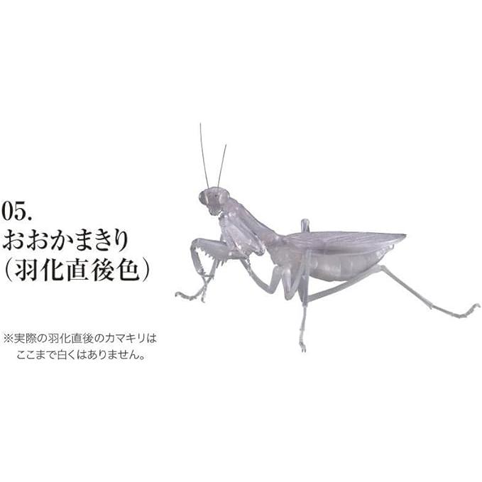 バンダイ かまきり 【おおかまきり(羽化直後色)】 ガシャポン単品 | 