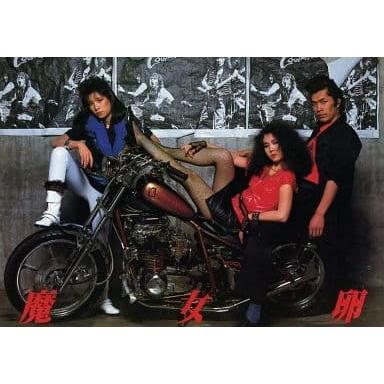 映画パンフレットレット「魔女卵」監督和泉聖治 出演渡辺祐子 | 