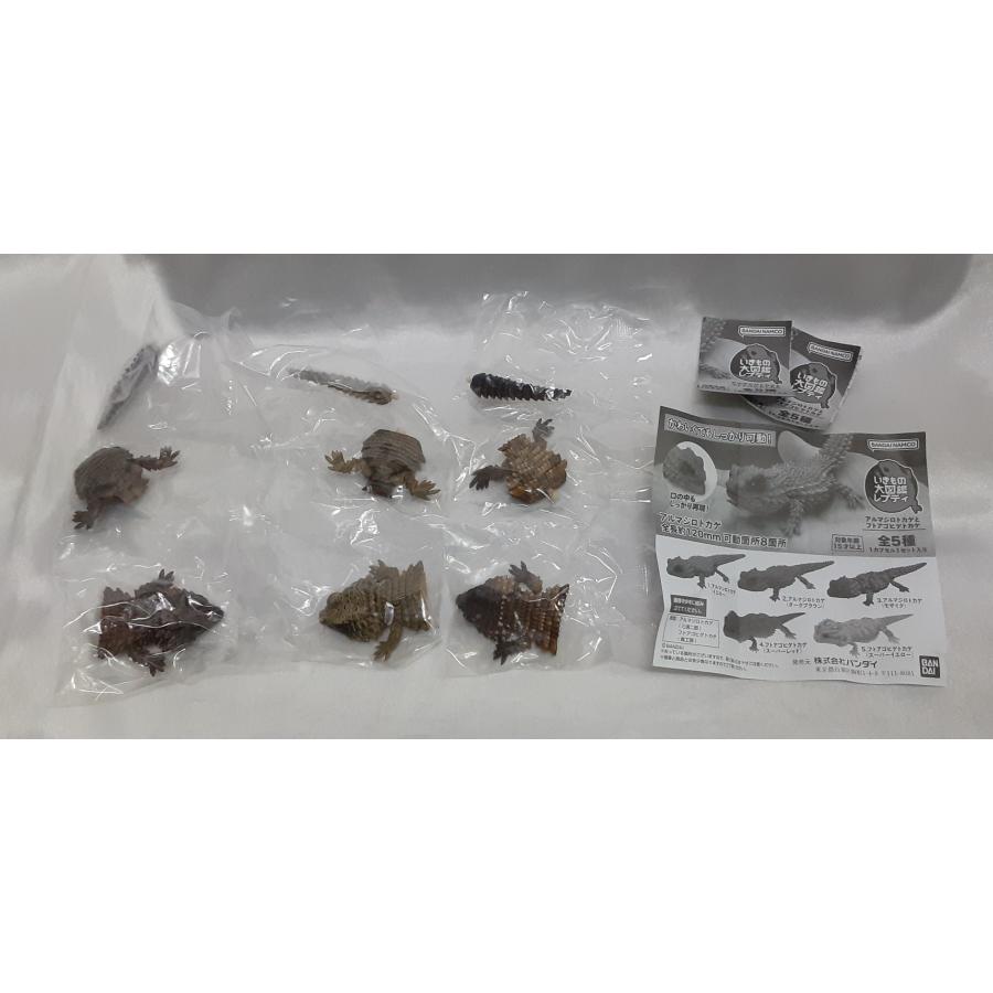 アルマジロトカゲとフトアゴヒゲトカゲ 3種セット レア いきもの大図鑑レプティ フィギュア カプセルトイ ガシャポン 内袋未開封 | 