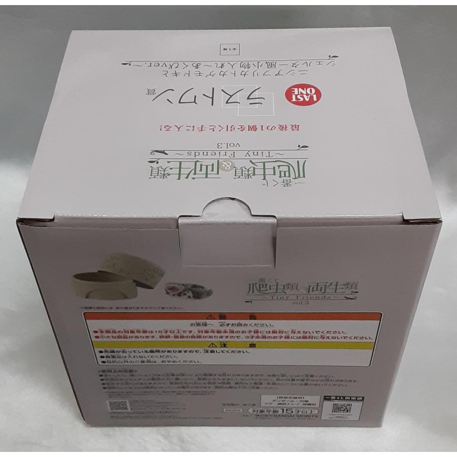 ラストワン賞 ニシアフリカトカゲモドキとシェルター風小物入れ あくびver.  一番くじ 爬虫類＆両生類 Tiny Friends vol.3 未開封 |  | 01