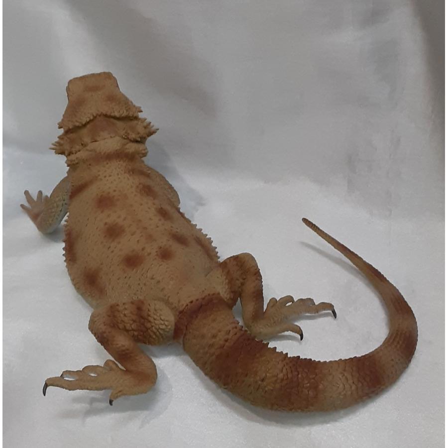 A賞 フトアゴヒゲトカゲ 一番くじ 爬虫類 ＆ 両生類 Tiny Friends