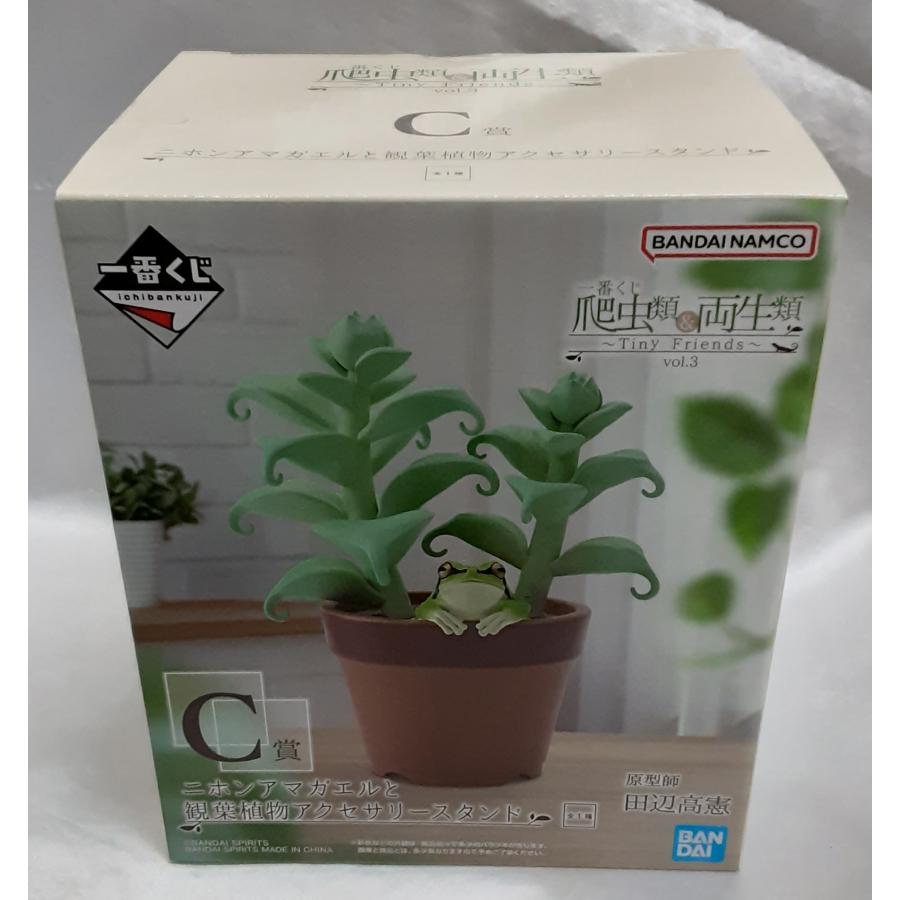 C賞 ニホンアマガエルと観葉植物アクセサリースタンド  一番くじ 爬虫類＆両生類 Tiny Friends vol.3 フィギュア 未開封 | 