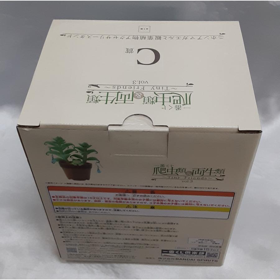 C賞 ニホンアマガエルと観葉植物アクセサリースタンド  一番くじ 爬虫類＆両生類 Tiny Friends vol.3 フィギュア 未開封 |  | 01