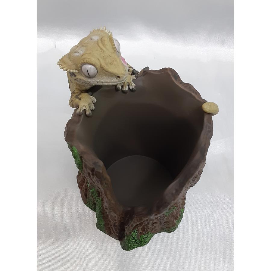 D賞 クレステッドゲッコーと止まり木小物入れ 一番くじ 爬虫類＆両生類 Tiny Friends vol.2 フィギュア 未開封 |  | 05