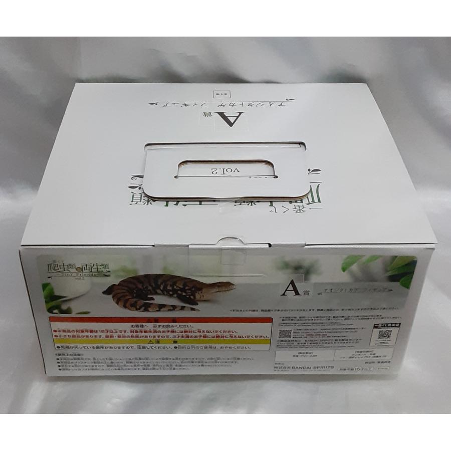 A賞 アオジタトカゲ 一番くじ 爬虫類＆両生類 Tiny Friends vol.2 フィギュア 未開封 |  | 01