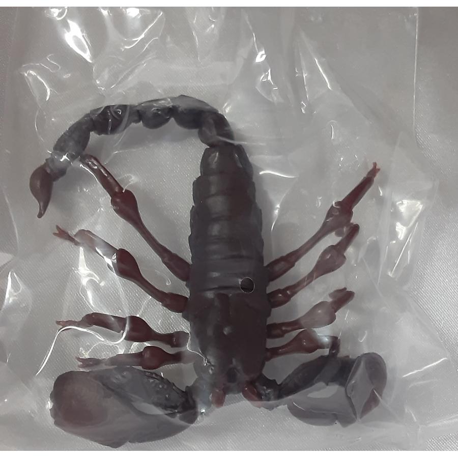 レッドクロウエンペラースコーピオン 小 いきもの大図鑑 サソリ フィギュア 内袋未開封 カプセルトイ ガシャポン |  | 01