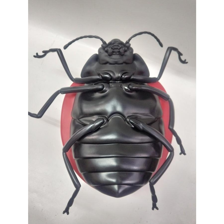 天道虫 てんとう虫  テントウムシ BIG ビッグサイズ フィギュア 昆虫 プラスチック製 全長約30cm |  | 01