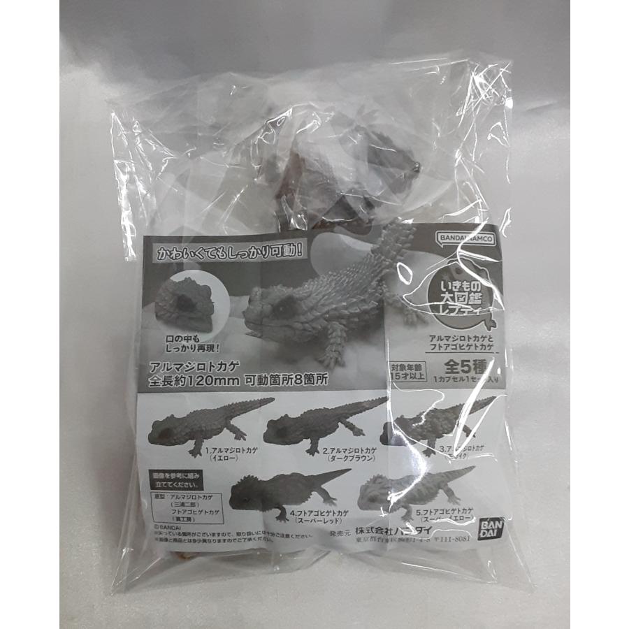 アルマジロトカゲとフトアゴヒゲトカゲ 全5種セット いきもの大図鑑レプティ フィギュア カプセルトイ ガシャポン 内袋未開封 | 