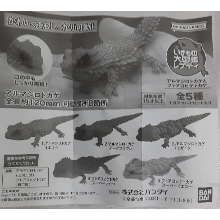 アルマジロトカゲとフトアゴヒゲトカゲ 全5種セット いきもの大図鑑レプティ フィギュア カプセルトイ ガシャポン 内袋未開封 |  | 03
