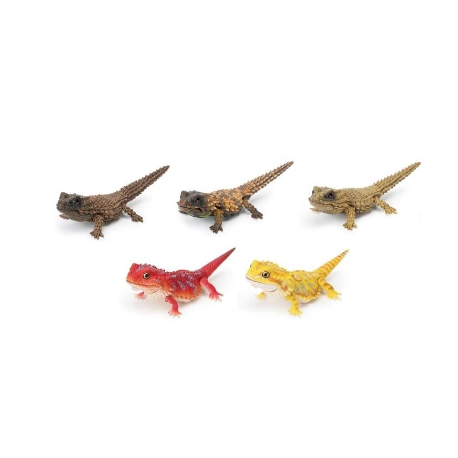 アルマジロトカゲとフトアゴヒゲトカゲ 全5種セット いきもの大図鑑レプティ フィギュア カプセルトイ ガシャポン 内袋未開封 |  | 04