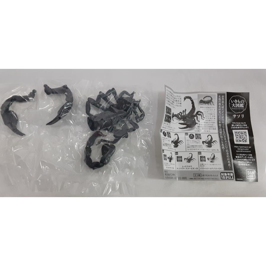 ダイオウサソリ 大 いきもの大図鑑 サソリ フィギュア 内袋未開封 カプセルトイ ガシャポン | 
