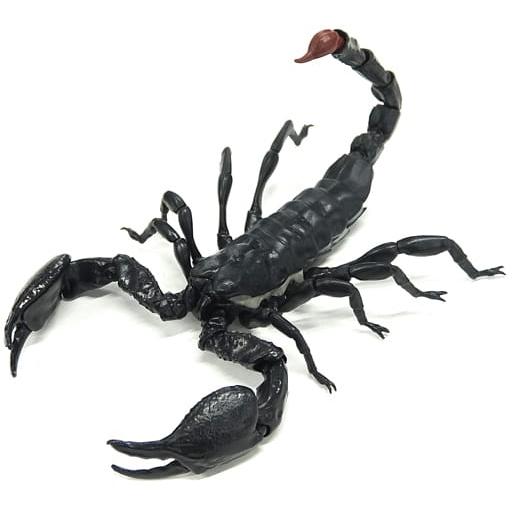 ダイオウサソリ 大 いきもの大図鑑 サソリ フィギュア 内袋未開封 カプセルトイ ガシャポン |  | 02