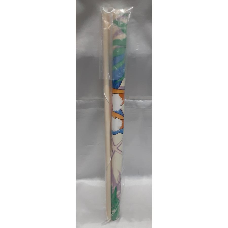 キャスター 玉藻の前 描き下ろしWスエード B2タペストリー Fate/EXTELLA LINK フェイト エクステラ ソフマップ 特典 グッズ 未開封 | 