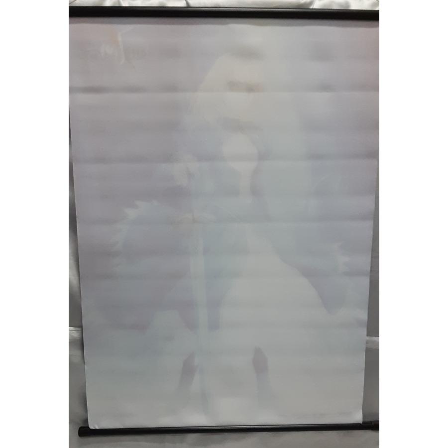 セイバー 描き下ろしB2タペストリー Fate/Zero I フェイト ゼロ 須藤友徳 グッズ ソフマップ 特典 |  | 04