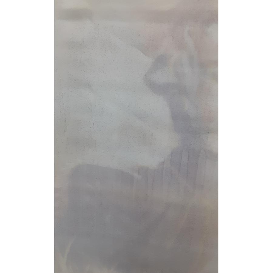 セイバー 描き下ろしB2タペストリー Fate/Zero II フェイト ゼロ 須藤友徳 グッズ ソフマップ 特典 |  | 04