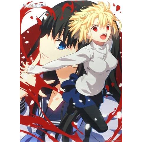アルクェイド＆遠野秋葉 武内崇描き下ろしオリジナルイラストB2タペストリー メルティブラッド MELTY BLOOD ソフマップ特典 未開封 |  | 02