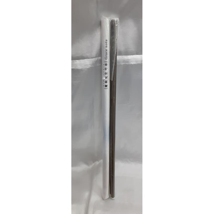 グレイ＆ライネス 描き下ろしB2タペストリー ロード・エルメロイII世の事件簿 魔眼蒐集列車 Grace note ソフマップ 特典 未開封 |  | 01