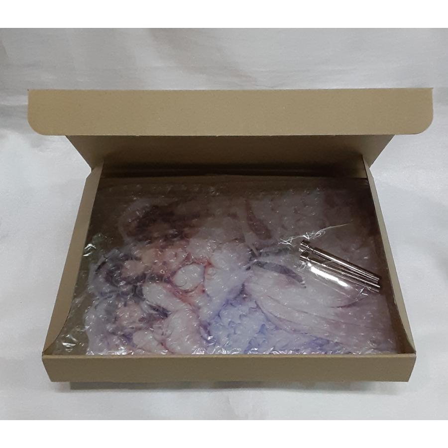 当選品 蔦町ちとせ 等身大パネル あざらしそふとオンリーショップ 当選品 蔦町ちとせ 等身大パネル あざらしそふとオンリーショップ