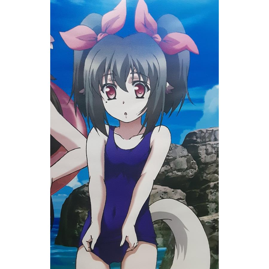 クオン＆ネコネ＆ルルティエ アニメ描き下ろしB2タペストリー