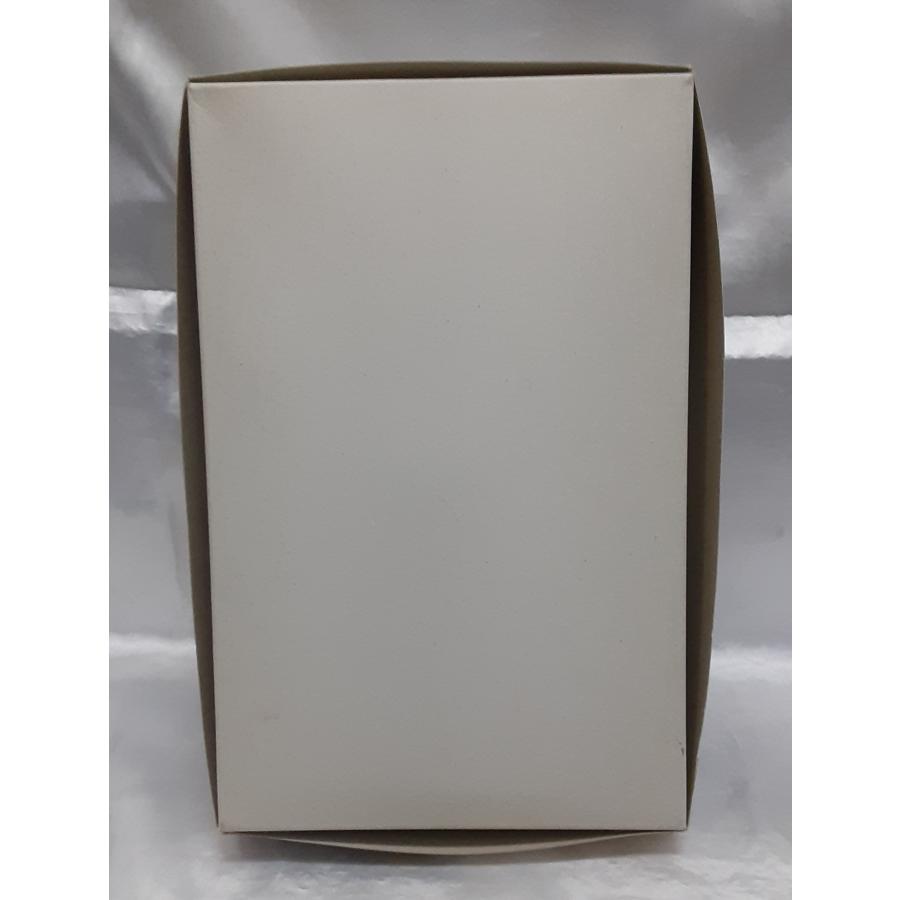 1/100 MG RX-78-2 ガンダム 2号機 コーティングバージョン 機動戦士