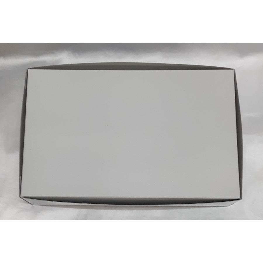 1/144 HG ZGMF-X42S デスティニーガンダム 機動戦士ガンダムSEED