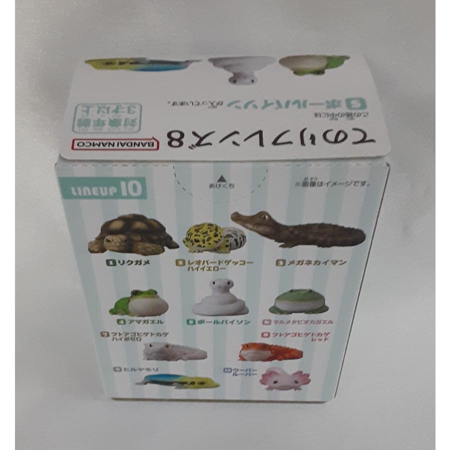 ボールバイソン 5 てのりフレンズ8 未開封 |  | 01